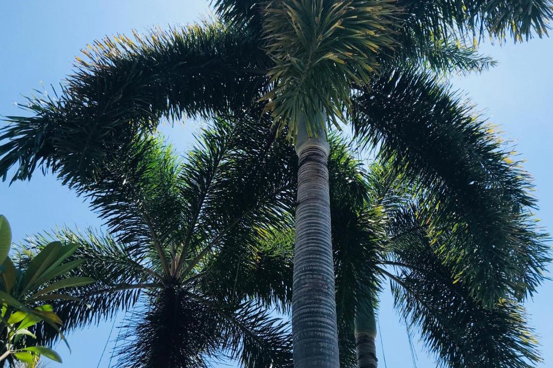 Photo of Outdoor in Hua Thanon