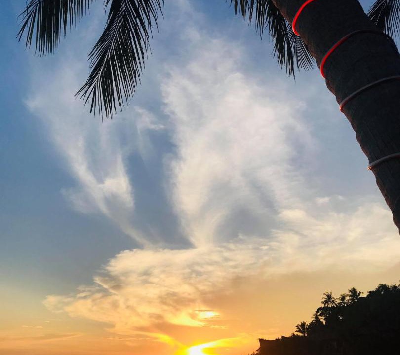 Photo of Others in Koh Tao