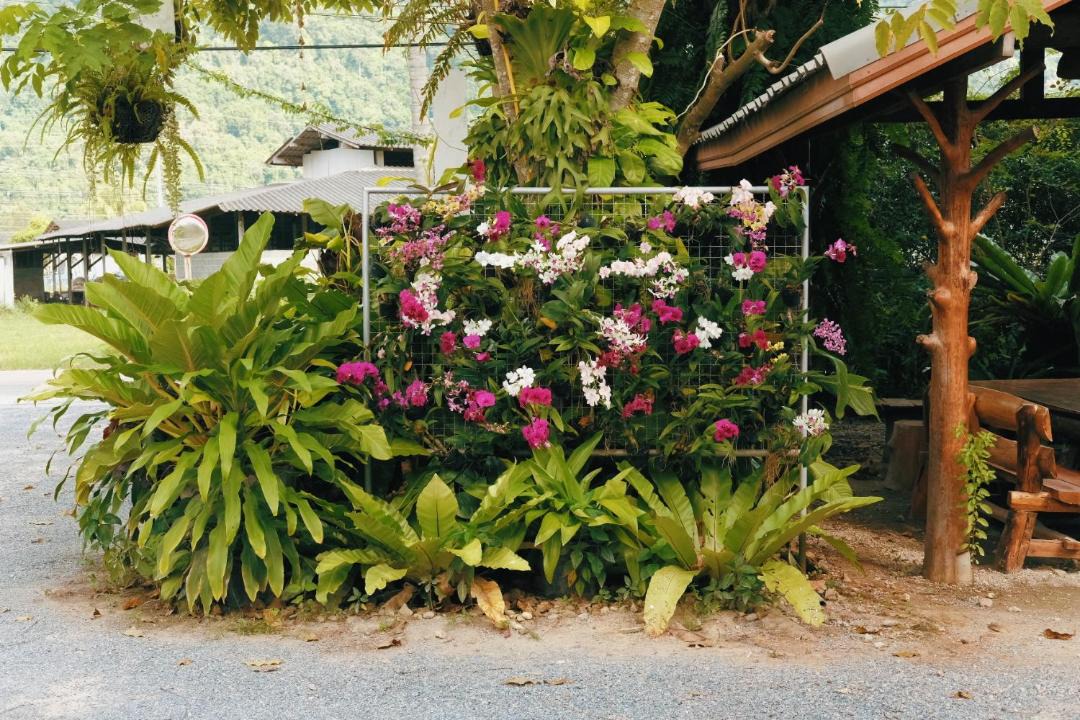 Photo of Others in Thong Nian