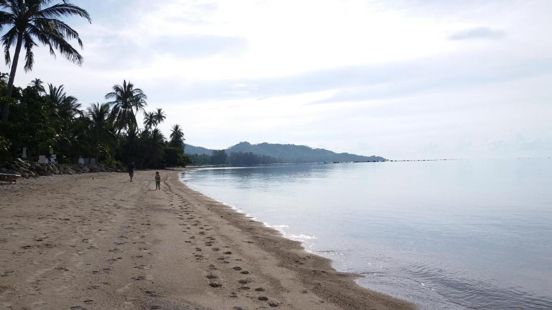 Photo of Others in Thong Krut