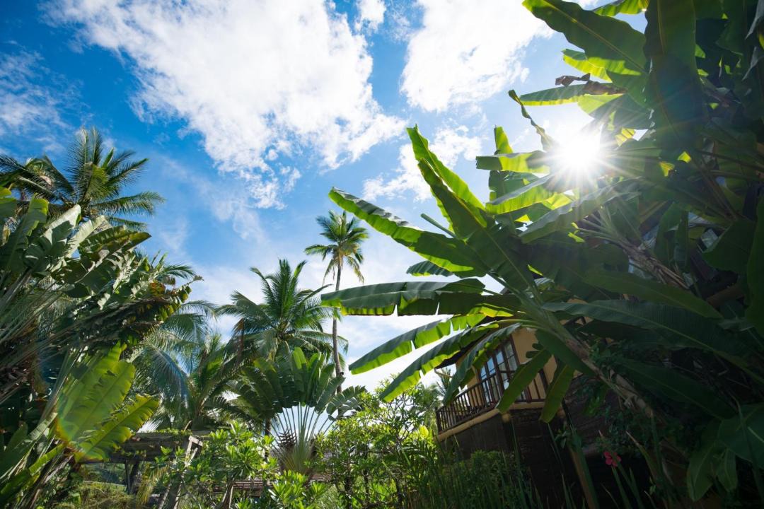 Photo of Others in Luang Prabang