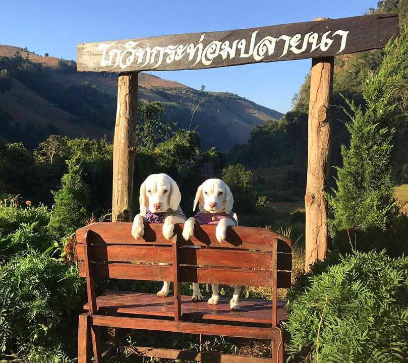 Photo of Others in Mae Chaem