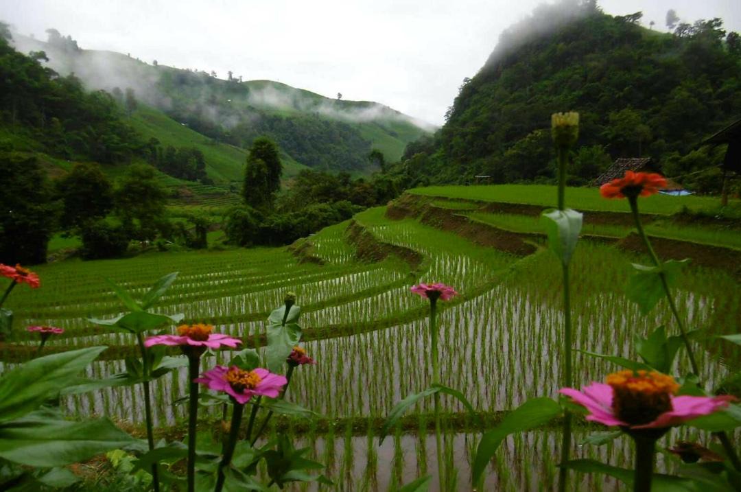 Photo of Others in Mae Chaem