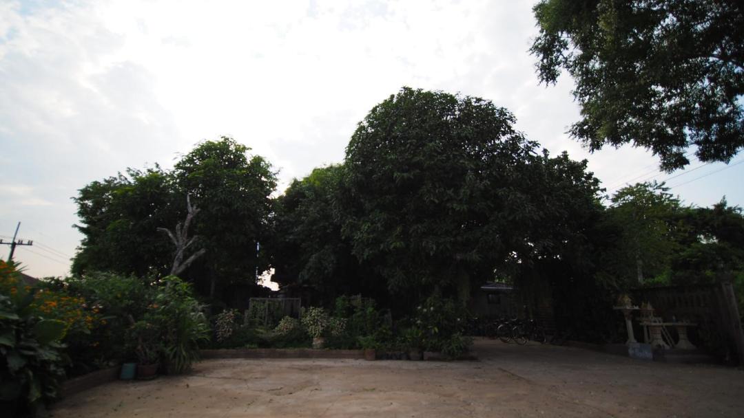 Photo of Others in Nan