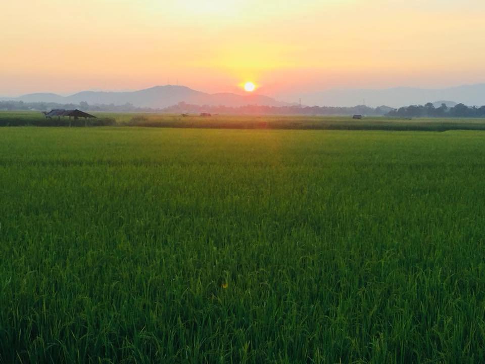 Photo of Others in K. Phu Pieng