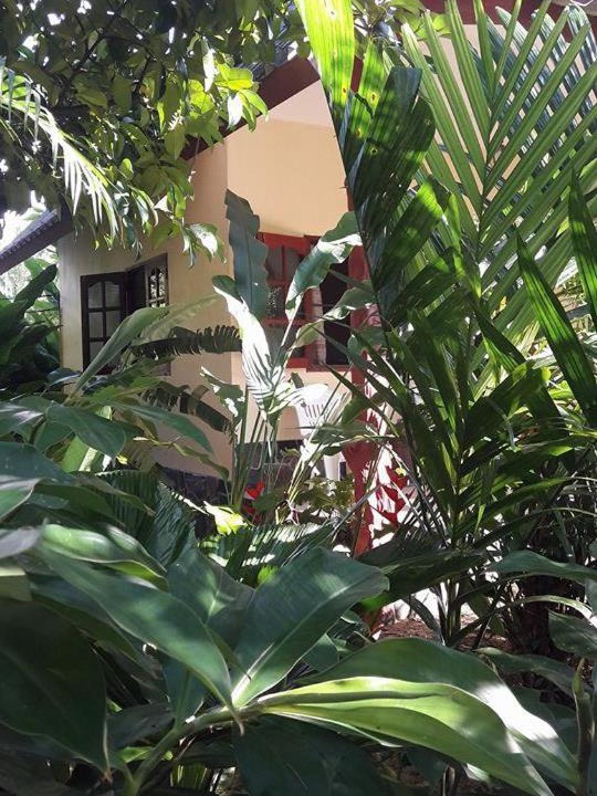 Photo of Others in Khlong Sok