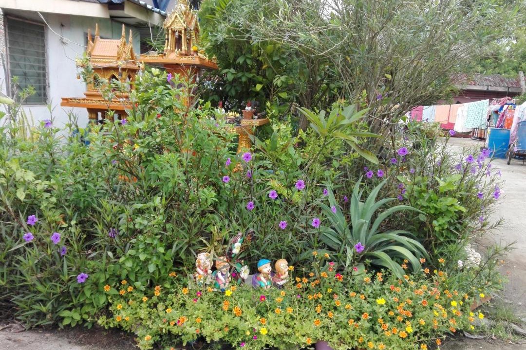 Photo of Outdoor in Makham Tia
