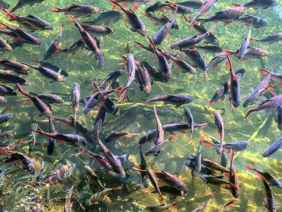 Photo of Others in Ban Tak