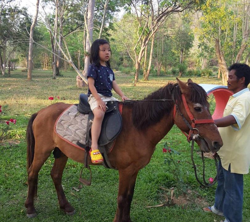Photo of Others in Kaeng Krachan