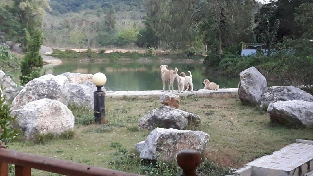 Photo of Others in Kaeng Krachan