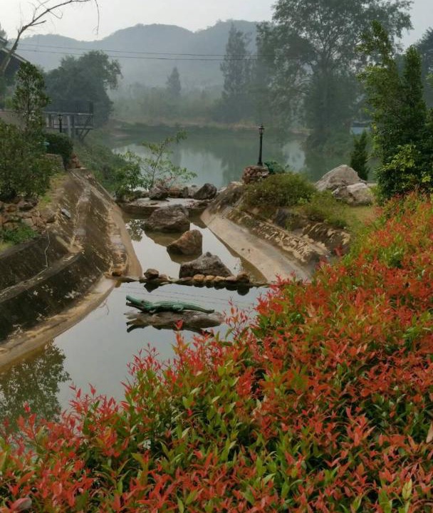 Photo of Others in Kaeng Krachan