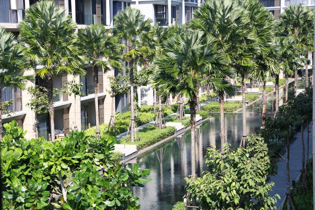Photo of Others in Mai Khao