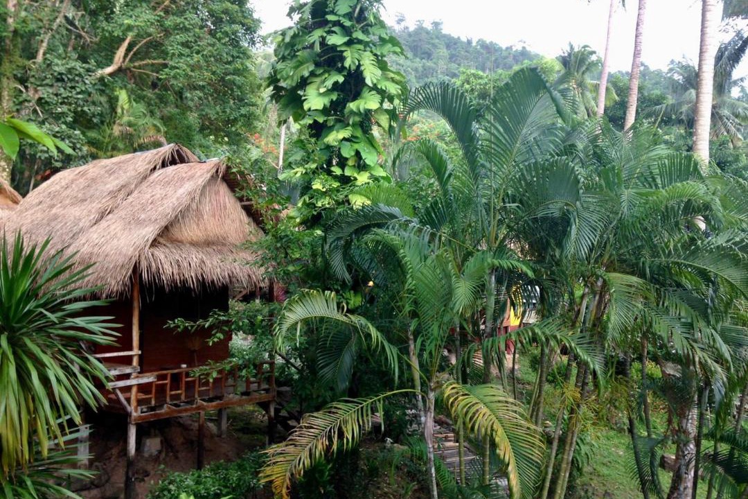 Photo of Others in Bai Lan