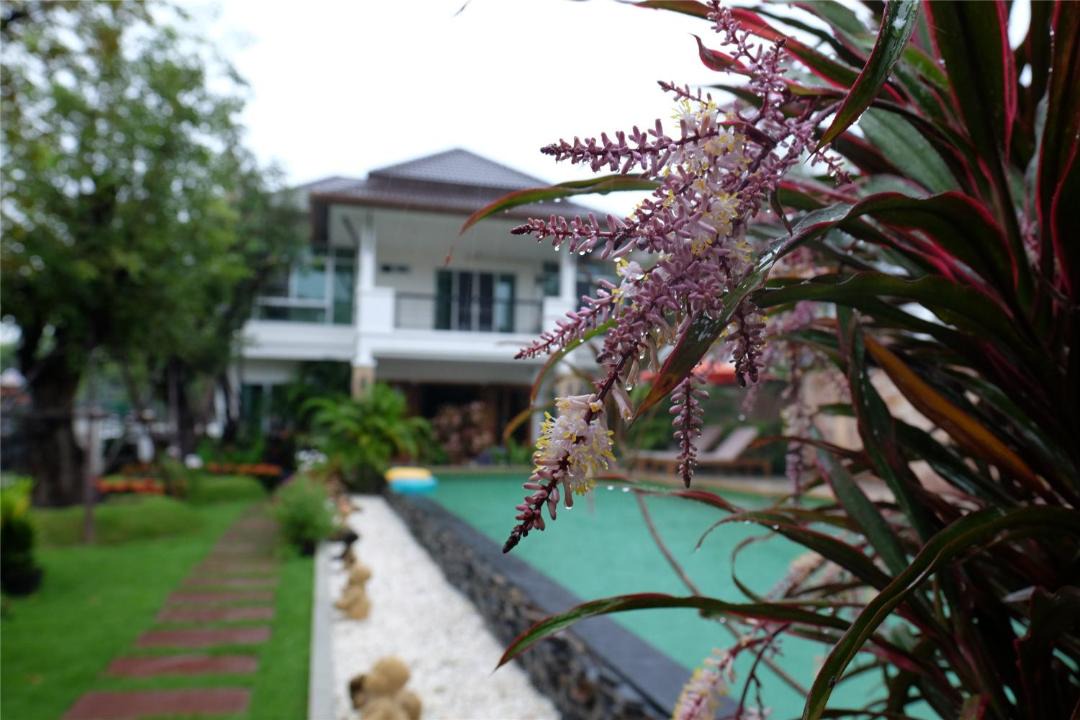 Photo of Others in San Kamphaeng