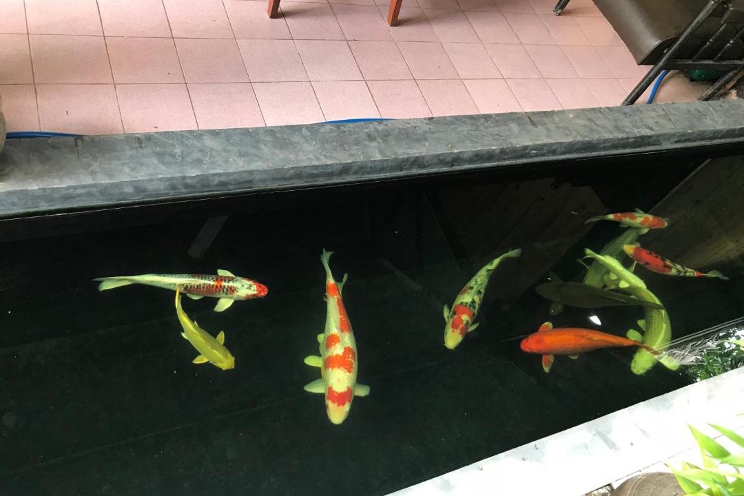 Photo of Others in Nong Khai