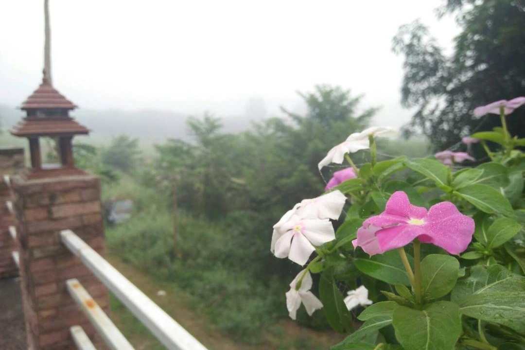 Photo of Others in Mueang Loei