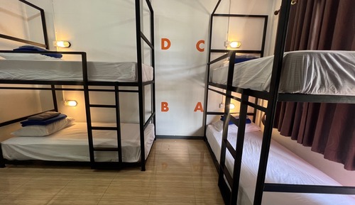 Standard Shared Dormitory