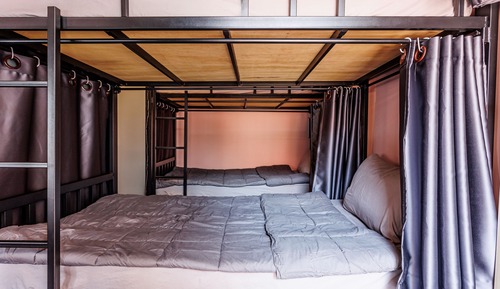 Basic Shared Female Dormitory