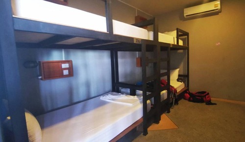 Basic Shared Dormitory, Mixed Dorm