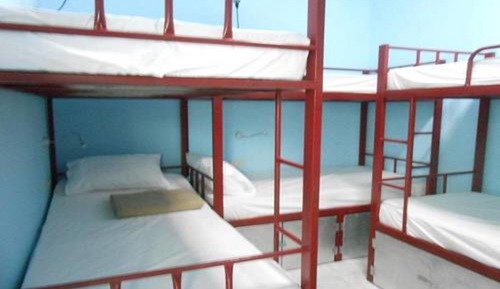 Bunk Bed in Mixed Dormitory Room
