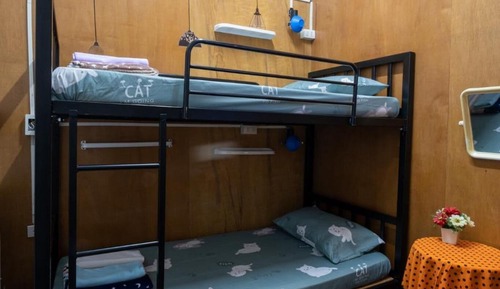 Shared Dormitory, Non Smoking
