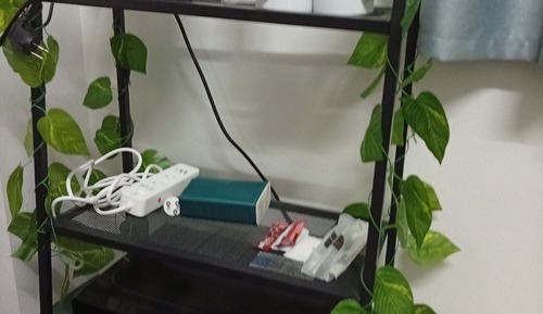 Standard Single Room, Non Smoking