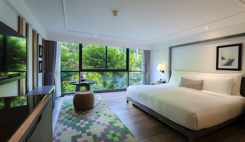 Mountain View Room