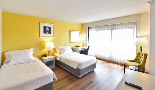 Superior Twin Room, City View