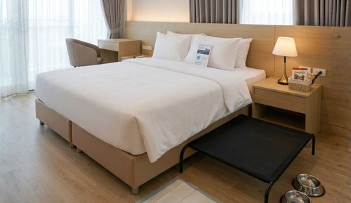 Standard Double Room, Pets Allowed
