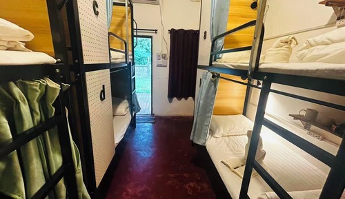 Economy Shared Dormitory