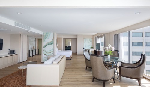 Executive Suite, 1 King Bed, Jetted Tub (Terrace, Plunge Pool)