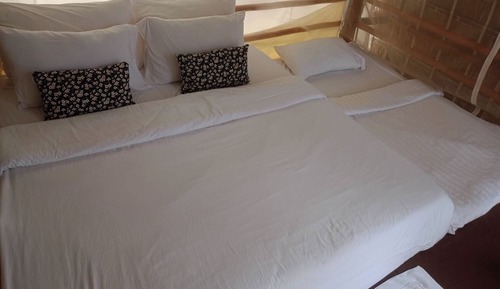 Superior Room, Mountain View