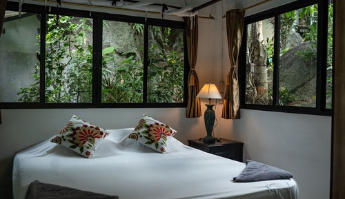Classic Studio, Garden View