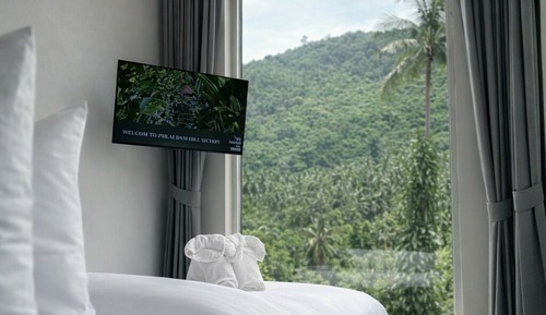 Standard Single Room, Mountain View