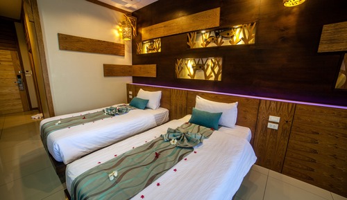 Deluxe Double or Twin Room