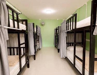 Bunk Bed in Mixed Dormitory Room