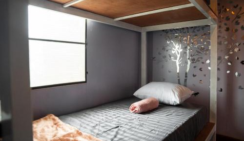 Single Bed in Mixed Dormitory Room