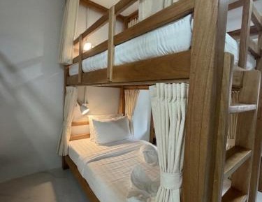 Bunk Bed in Mixed Dormitory Room