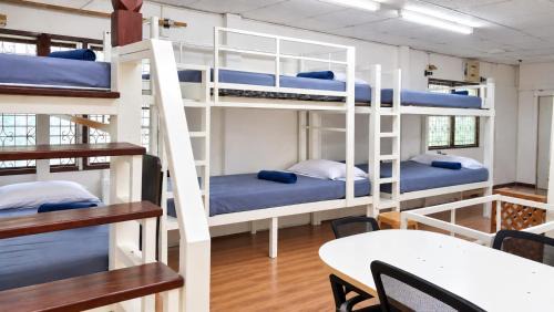 Bed in 8-Bed Dormitory Room