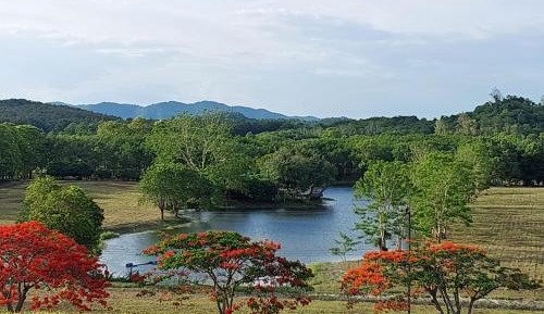 Double Room with Park View
