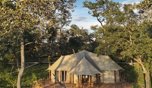 Suite Tent