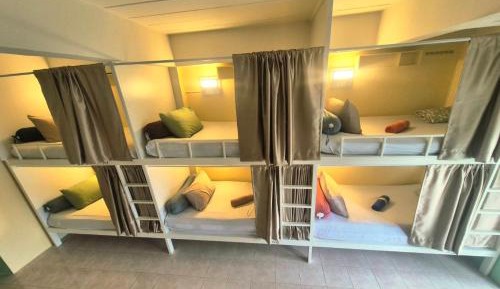 Bunk Bed in Mixed Dormitory Room