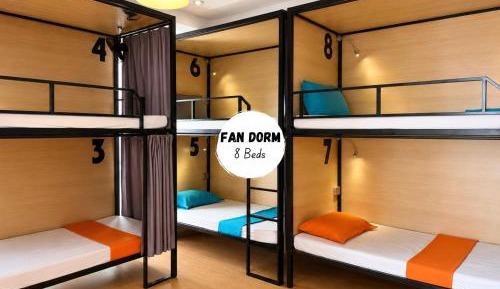 Bunk Bed in Mixed Dormitory Room