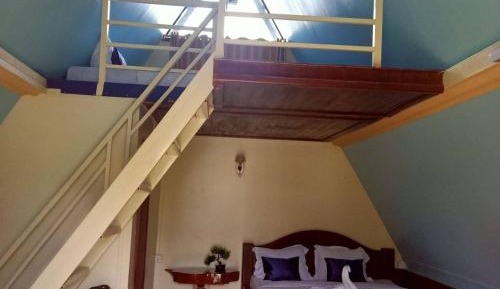 Bunk Bed in Female Dormitory Room  