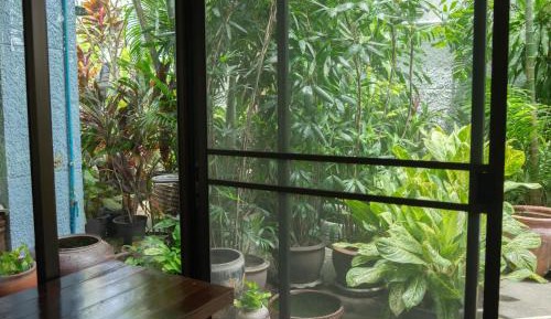 Single Room with Terrace