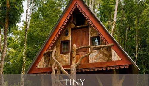 Tiny Treehouse
