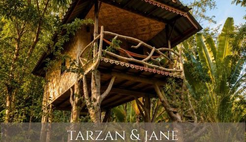 Tarzan & Jane Treehouse