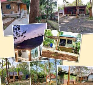 Mobile Home