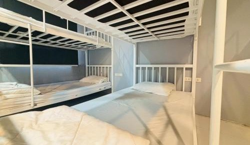 Bunk Bed in Mixed Dormitory Room
