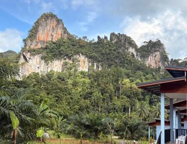 King Room with Mountain View